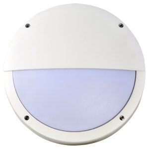 surface ceiling light